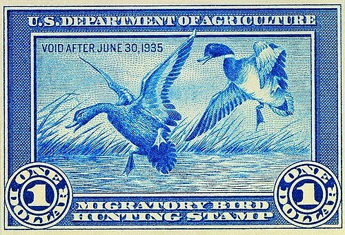 Duck Stamp